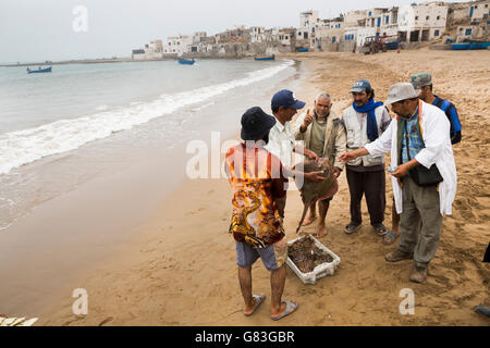 Arbeiter kaufen und verkaufen frische Meeresfrüchte und Fisch auf einer Auktion in Tifnit, in der Nähe von Agadir in Marokko. Stockfoto