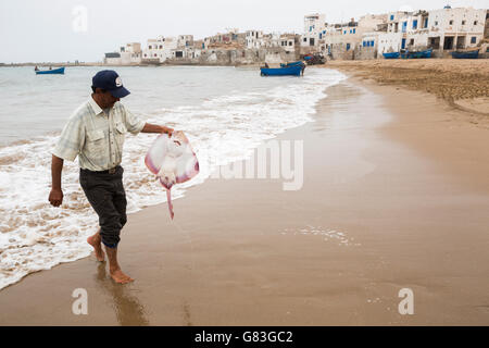 Ein Fischer bringt seinen frischen Fang an Land in Tifnit Strand in der Nähe von Agadir, Marokko. Stockfoto