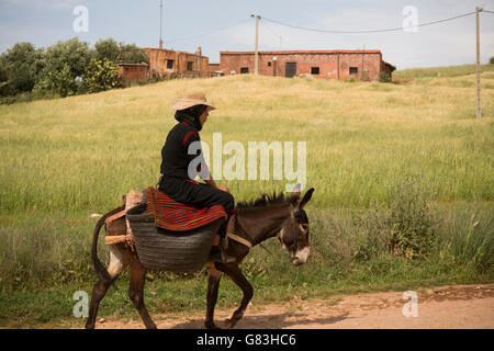 Eine Frau reitet auf einen Esel auf einer unbefestigten Straße in das Dorf Ben Khili, Marokko. Stockfoto