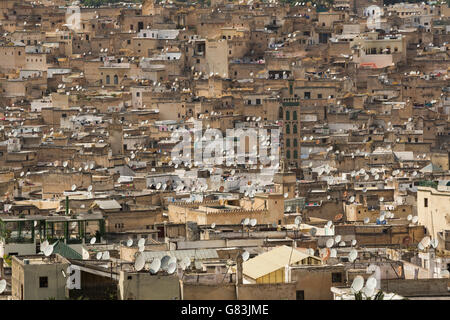 Satellitenschüsseln säumen Dächer in der alten Medina von Fez, Marokko. Stockfoto