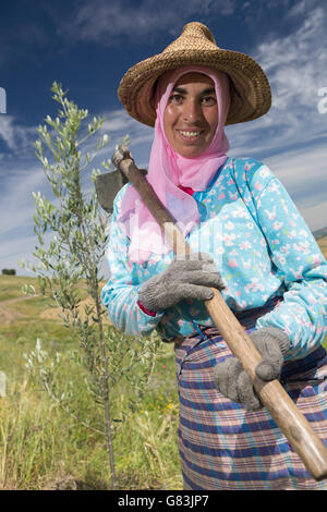 Ein kleiner Bauer steht in ihrem Olivenbaum-Feld im Dorf Kouassem Oulad Addou, Marokko. Stockfoto