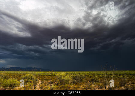Mächtiger Monsunsturm mit dunklen Wolken in der Sonoran-Wüste in der Nähe von Kitt Peak, Arizona Stockfoto