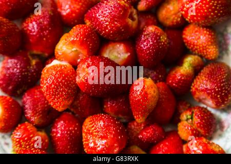 Schale mit Erdbeeren Draufsicht Stockfoto