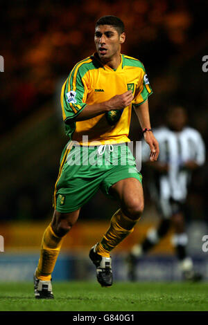 Fußball - FA Barclays Premiership - Norwich City / Newcastle United - Carrow Road. Youssef Safri, Norwich City Stockfoto