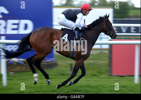 Pferderennen Sie - Derby Trial Raceday - Lingfield Park Rennbahn Stockfoto