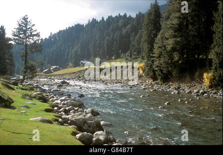 Honegg Tal und Lidder Fluss, Kaschmir, Indien Stockfoto