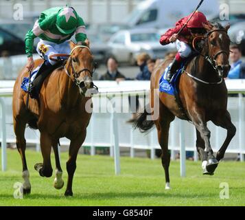 Horse Racing - Darley irischen Oaks Weekend - Tag eins - Curragh Rennbahn Stockfoto