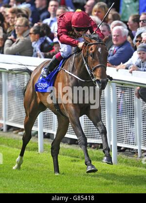 Horse Racing - Darley irischen Oaks Weekend - Tag eins - Curragh Rennbahn Stockfoto