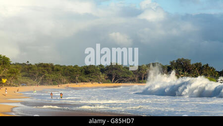 Große Wellen am Big Beach im Makena State Park im Süden anschwellen Stockfoto