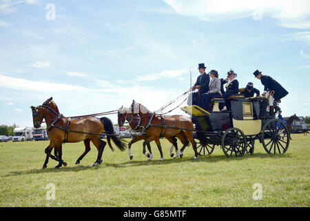 Coaching-Marathon-Klasse auf der Essex Heavy Horse Show im Orsett Showground, Essex. DRÜCKEN Sie VERBANDSFOTO. Bilddatum: Sonntag, 2. August 2015. Bildnachweis sollte lauten: Ian West/PA Wire Stockfoto