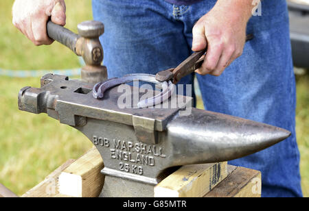 Essex-schwere Pferde-Show - London Stockfoto