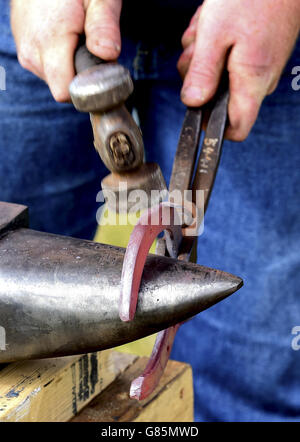 Essex-schwere Pferde-Show - London Stockfoto