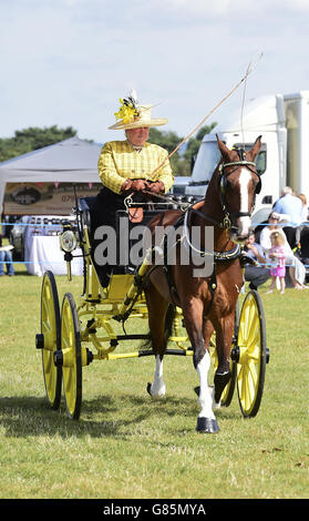 Die Essex Heavy Horse & Country Show im Orsett Showground, Essex. DRÜCKEN Sie VERBANDSFOTO. Bilddatum: Sonntag, 2. August 2015. Bildnachweis sollte lauten: Ian West/PA Wire Stockfoto