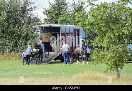 Essex-schwere Pferde-Show - London Stockfoto