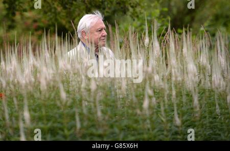 Sir David Attenborough besucht das London Wetland Centre im Westen Londons, wo er seine neue Kampagne gestartet hat, um das Bewusstsein der Öffentlichkeit zu schärfen, um den Rückgang der Schmetterlinge umzukehren, und die Öffentlichkeit dazu zu drängen, Schmetterlingsfreundliche Blumen in ihrem Garten zu Pflanzen, um die sinkende Anzahl der Insekten umzukehren. Stockfoto