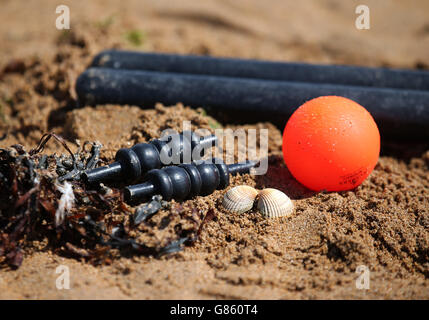 Beach-cricket Stockfoto