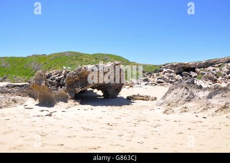 Dünen an der Küste und Kalksteinformationen am Penquin Insel Strand unter blauem Himmel in Rockingham, Western Australia. Stockfoto