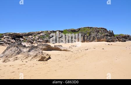 Kalksteinformationen in den Dünen mit Sandstrand am Penquin Insel unter blauem Himmel in Rockingham, Western Australia. Stockfoto