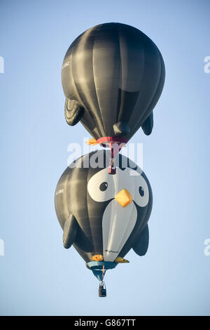 Pinguin geformte Heißluftballons "Pfützen" und "Splash" heben während der ersten Massenbesteigung bei der 37. Bristol International Balloon Fiesta im Ashton Court Estate, Bristol ab, Hier fliegen Ballonpiloten und Crews aus der ganzen Welt über die Stadt, um über den Himmel von Somerset und South West in Großbritannien zu fliegen. Stockfoto