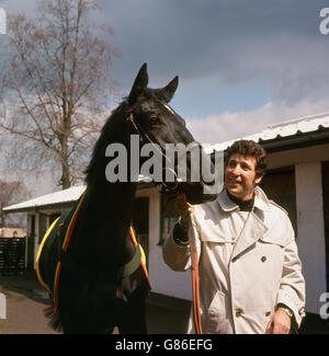 Der walisische Sänger Tom Jones mit dem Rennpferd 'Walk On By!' Die er gerade für eine nicht offenbarte Summe in Brian Swift Ställen in Epsom in Surrey gekauft hat. Das Rennpferd ist nach einem Popsong von Burt Bacharach benannt, das ursprünglich von Dionne Warwick gesungen wurde. Stockfoto