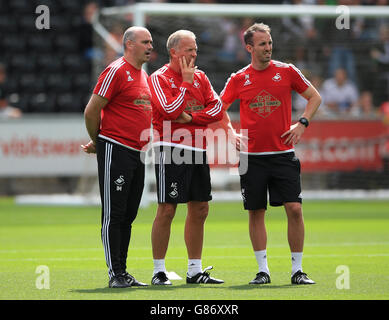 Fußball - Barclays Premier League - Swansea City gegen Newcastle United - Liberty Stadium Stockfoto