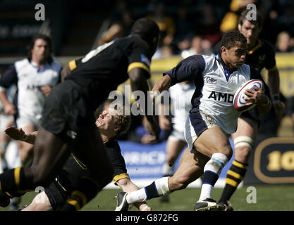 Rugby Union - Zürich-Premier-League - Halbfinale - London Wasps V Verkauf Haie - Causeway Stadion Stockfoto