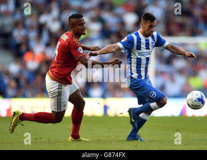 Sam Baldock von Brighton und Hove Albion (rechts) kämpft während des Sky Bet Championship-Spiels im AMEX Stadium in Brighton mit Michael Mancienne von Nottingham Forest (links) um den Ball. Stockfoto