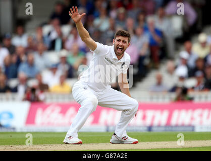 Cricket - Fünfter Investec Ashes Test - England gegen Australien - erster Tag - das Kia Oval. Der englische Mark Wood appelliert am ersten Tag des fünften Investec Ashes-Tests beim Oval in London erfolglos. Stockfoto