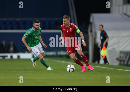 Der ungarische Balazs Dzsudzsak (rechts) und der nordirische Stuart Dallas während des UEFA-Europameisterschafts-Qualifikationsspiel im Windsor Park, Belfast. Stockfoto