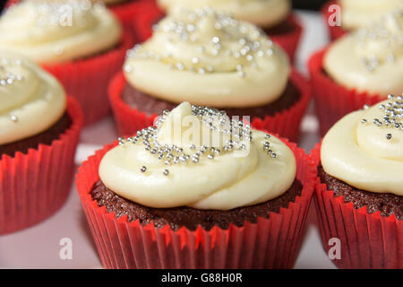 Nahaufnahme von Schokolade Cupcakes mit Sahnehäubchen Stockfoto