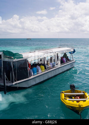 Ein Glasbodenboot führt Touristen durch das Riff auf Green Island, entlang dem Great Barrier Reef, in der Nähe von Cairns, Queensland, Australien. Stockfoto