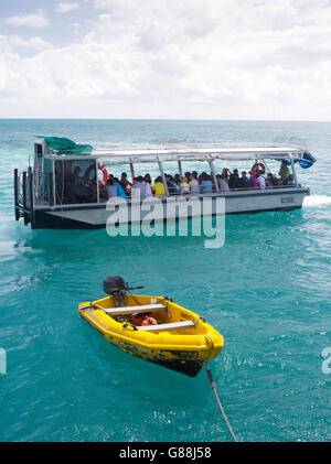 Ein Glasbodenboot führt Touristen durch das Riff auf Green Island, entlang dem Great Barrier Reef, in der Nähe von Cairns, Queensland, Australien. Stockfoto