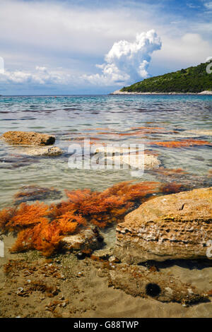 Saplunara Strand, Insel Mljet Stockfoto