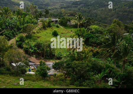 Am Mont Lubin, Rodrigues Stockfoto