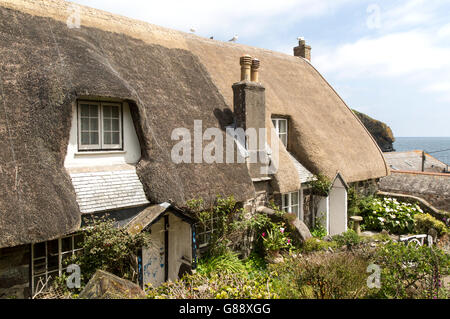 Hübschen historischen strohgedeckten Hütten, Cadgwith, Lizard Halbinsel, Cornwall, England, UK Stockfoto