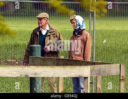 Royal Windsor Horse Show Stockfoto