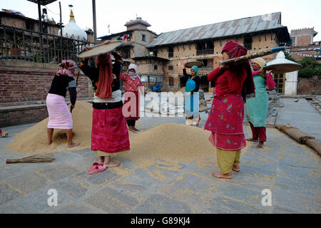 Nepalesische Frauen Dreschen von Getreide in der traditionellen Art und Weise in den Innenhof des Rato Machhendranath Tempel im Dorf Bungamati ein traditionelles Newar Stadt in Nepal Stockfoto