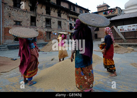 Nepalesische Frauen Dreschen von Getreide in der traditionellen Art und Weise in den Innenhof des Rato Machhendranath Tempel im Dorf Bungamati ein traditionelles Newar Stadt in Nepal Stockfoto