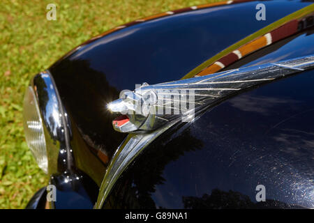 1956-Peugeot 203 C Stockfoto