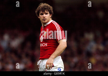 Rugby-Union - britisch & irischen Löwen V Argentinien - Millennium Stadium Stockfoto