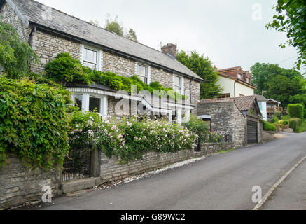 Bischof Sutton ein Somerset Dorf im Chew Valley Somerset England Cottage Stockfoto