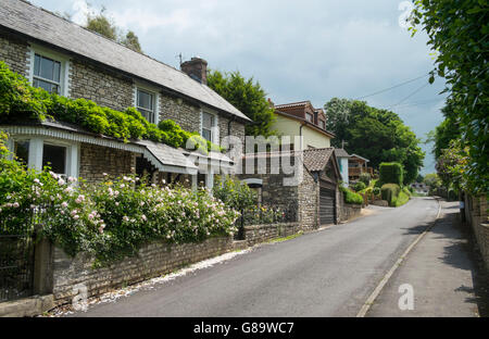 Bischof Sutton ein Somerset Dorf im Chew Valley Somerset England Cottage Stockfoto