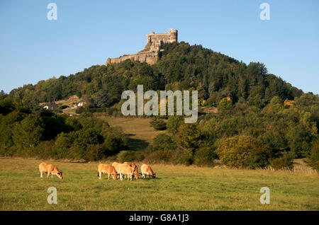 Burg von Murol, Auvergne, Puy-de-Dome, Frankreich, Europa Stockfoto