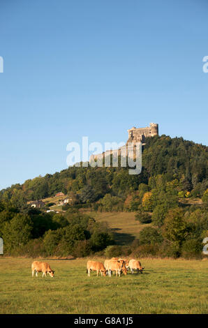 Burg von Murol, Auvergne, Puy-de-Dome, Frankreich, Europa Stockfoto