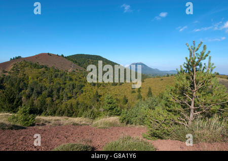 Blick auf Vulkan Puy de Dome, Puy de Lassolas, Parc Naturel des Vulkane d ' Auvergne, regionalen Naturpark, Auvergne, Frankreich Stockfoto