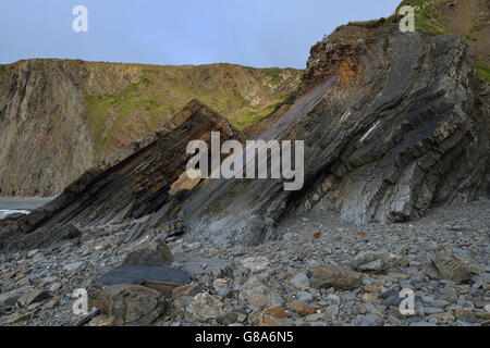 Gefalteten Gesteinsschichten am breiten Strand, Hartland Quay, Bideford, Devon Stockfoto