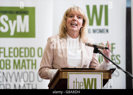 Preisgekrönte walisische Journalistin, Sender und Autorin CAROLYN HITT Adressierung Qomen Delegierten und Mitglieder der National Federation of Women Institute - Wales Jahreskonferenz, April 2016 Stockfoto