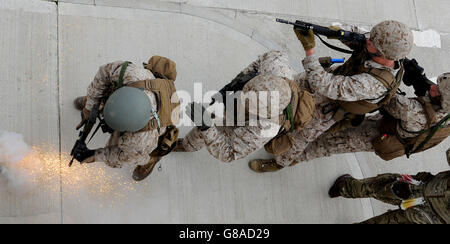 USA und Royal Marines training Stockfoto