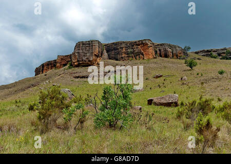 Giants Castle KwaZulu-Natal Naturschutzgebiet, Drakensberge Südafrika Stockfoto