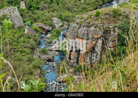 Bushmans River in der Giants Castle KwaZulu-Natal Natur reserve, Drakensberge Südafrika Stockfoto